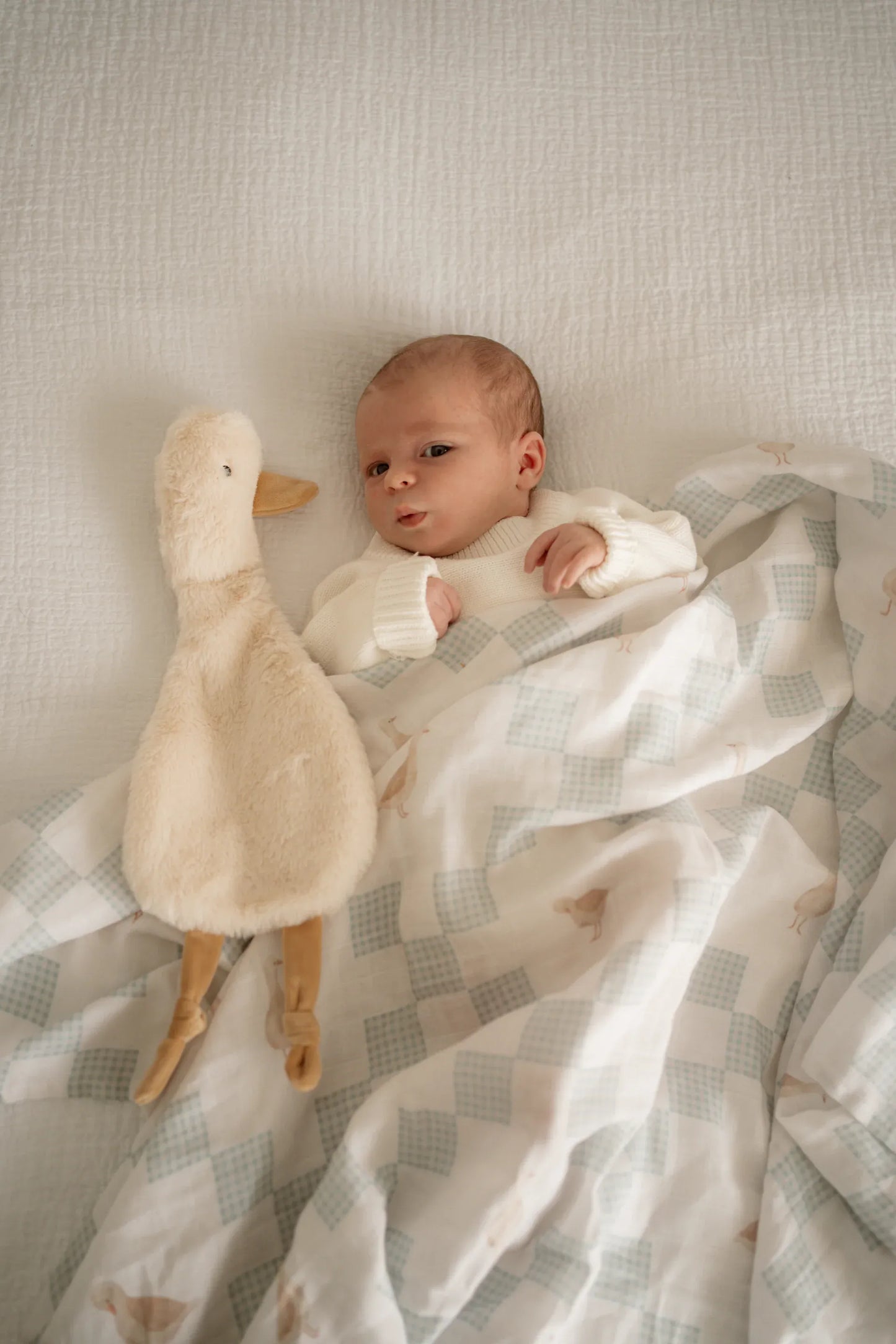 Little Gifties Baby Gift Waddles the Goose Comforter